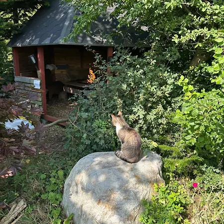 Lille Degnboel Tiny House * Hjorring